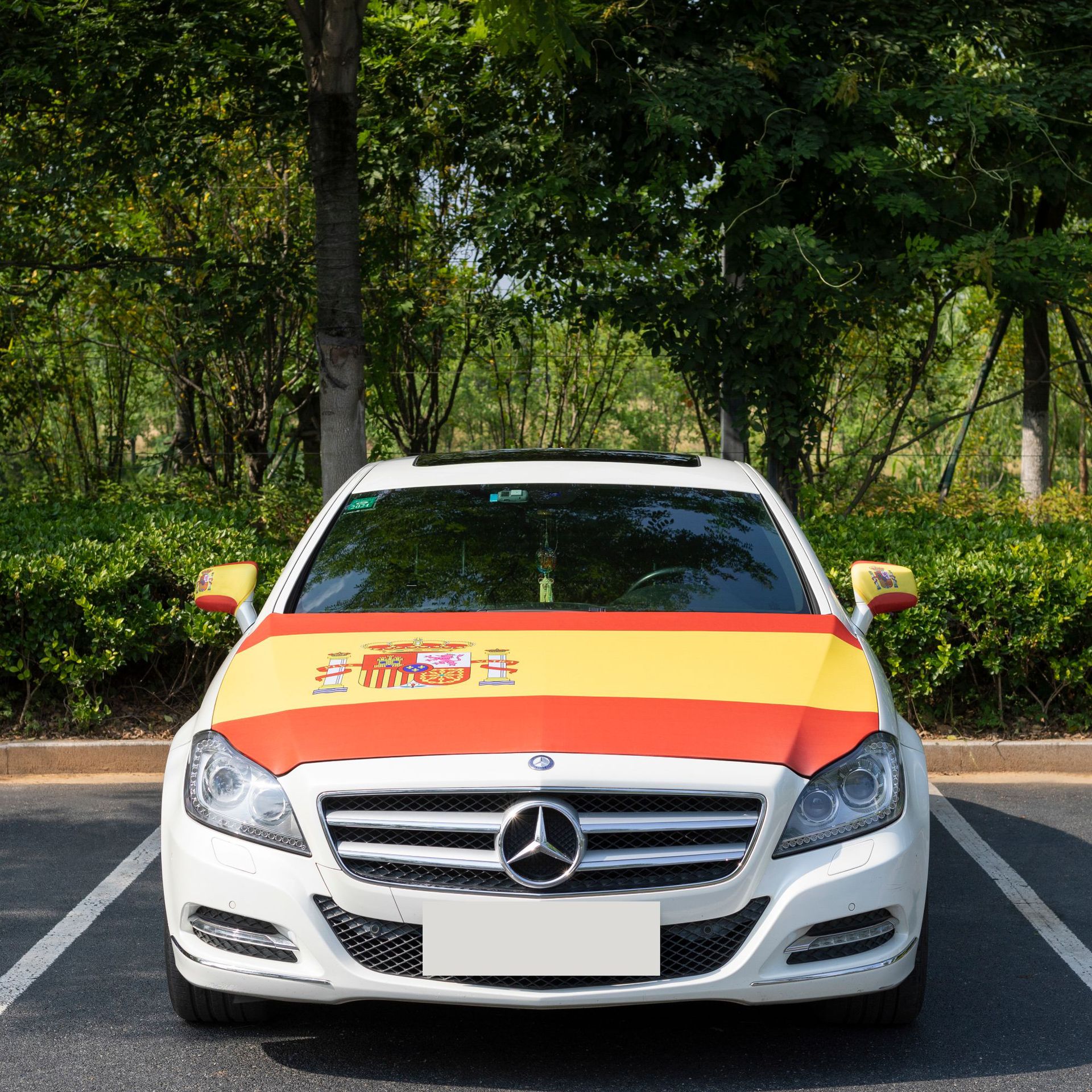 Car Hood Cover